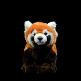 Red Panda Plush